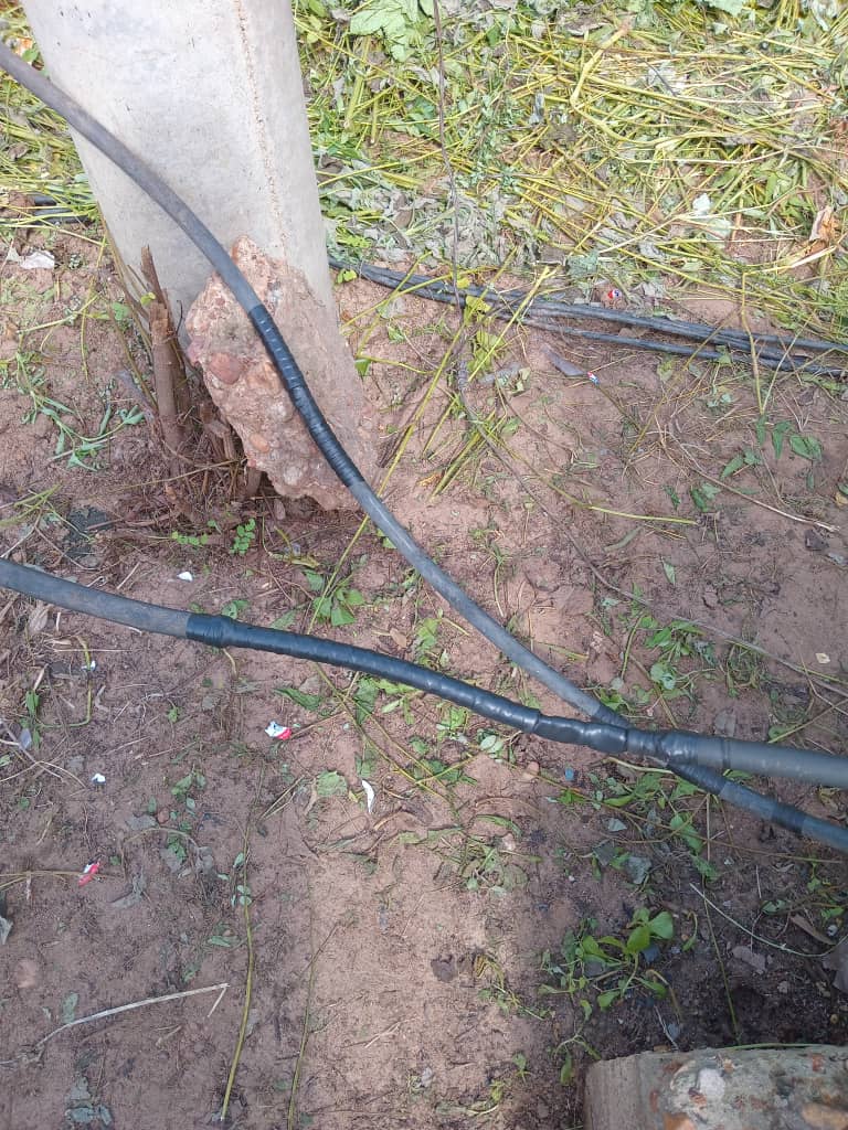 WhatsApp Image 2025-10-19 at 00.45.22_355b5c17